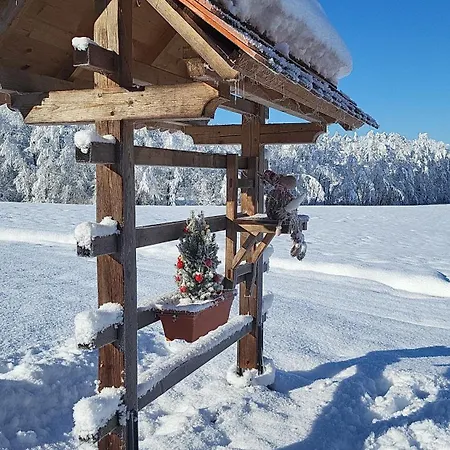 Апартаменты Under The Castle Dob