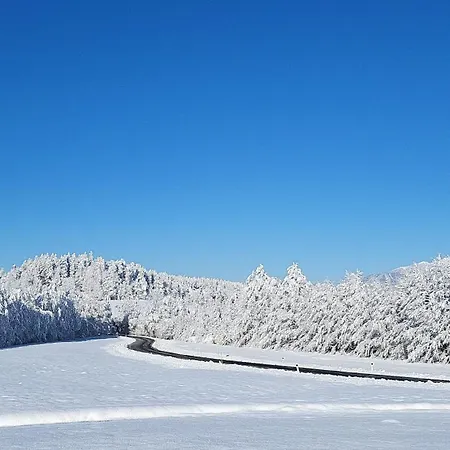 Апартаменты Under The Castle Dob