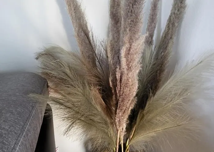 Under The Castle Appartamento Dob