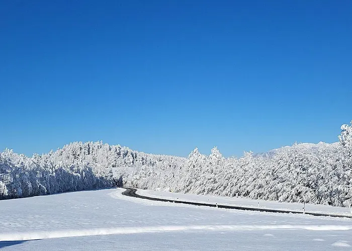 Apartmán Under The Castle Dob